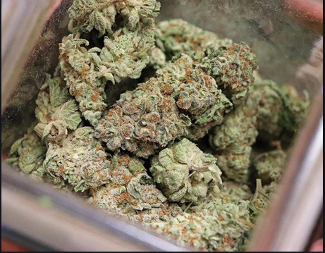 In Online Dispensary Canada, you will find the best marijuana in the world