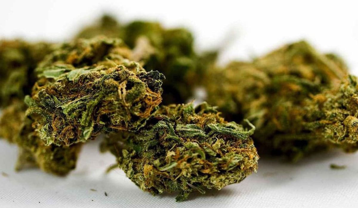 The best products of the Cannabis Dispensary with the highest   discount on the first purchase