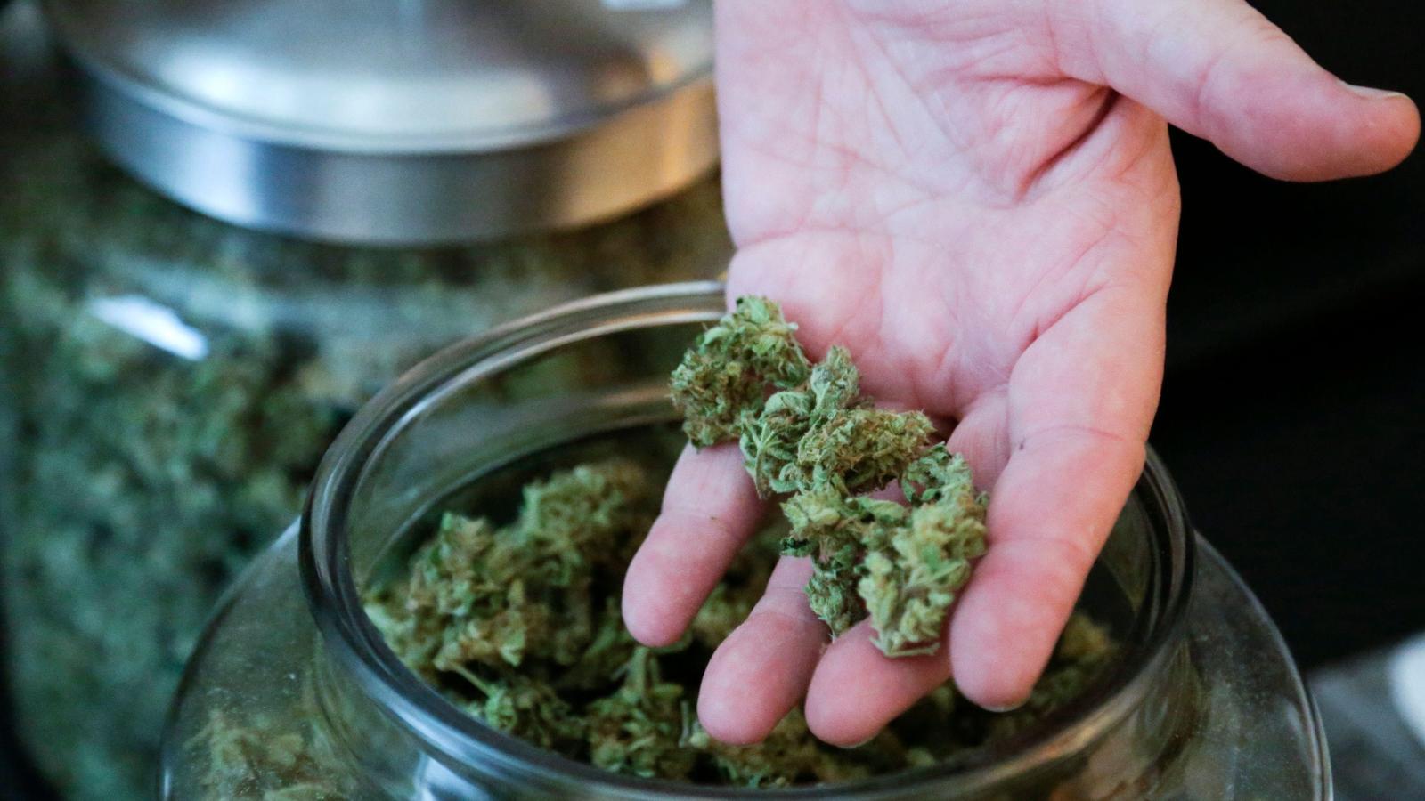 Online Weed Dispensary so you don’t leave home