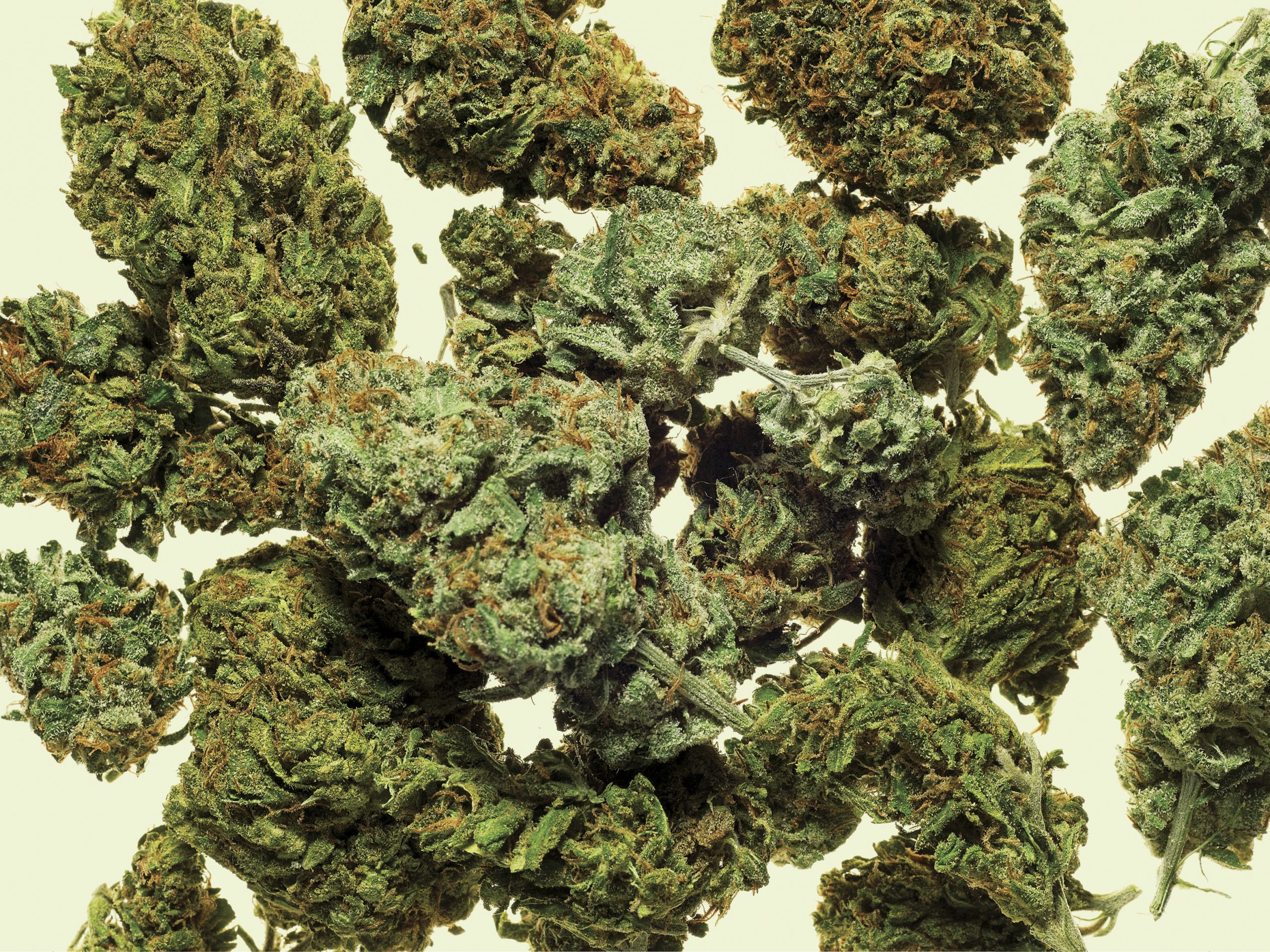 Facts regarding CBD You ought to Know