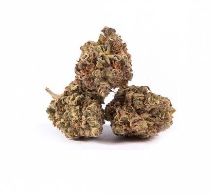 By consuming a gram of legal weed (erbalegale), it gives you the enjoyable experience