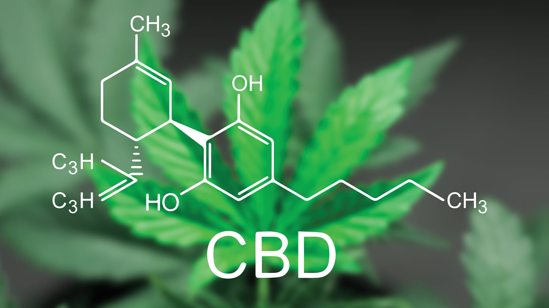 Varieties of CBD Goods as well as How you can Rely on them