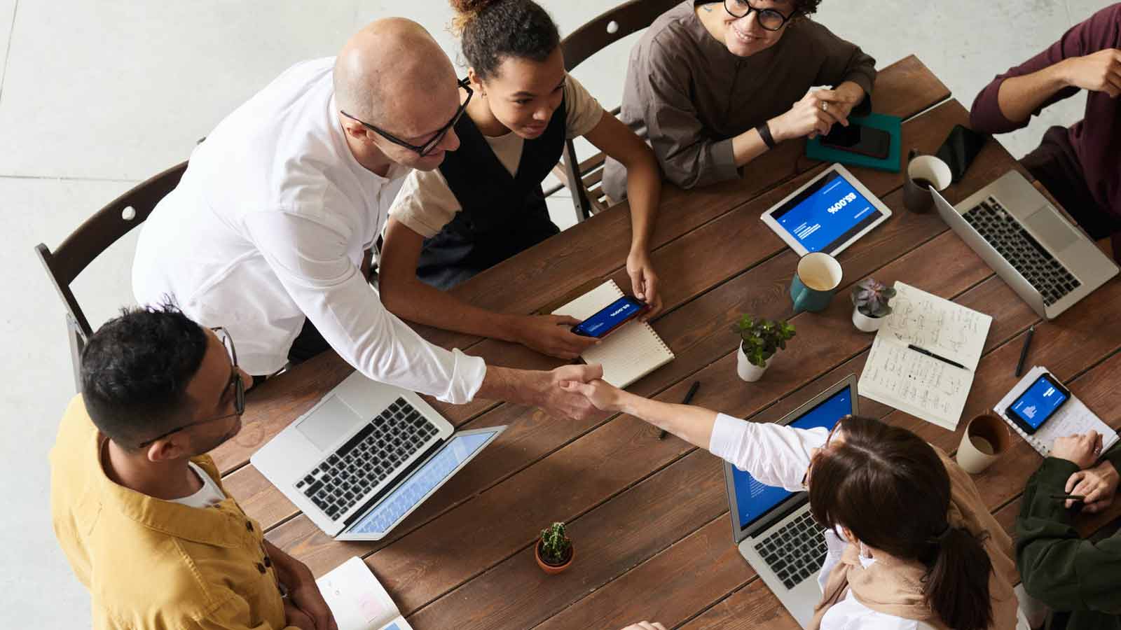 Learn why you need a white label Seo service