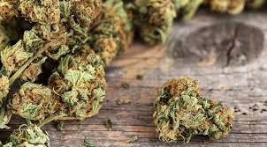 Evaluate perfectly where you will best weed delivery Winnipeg