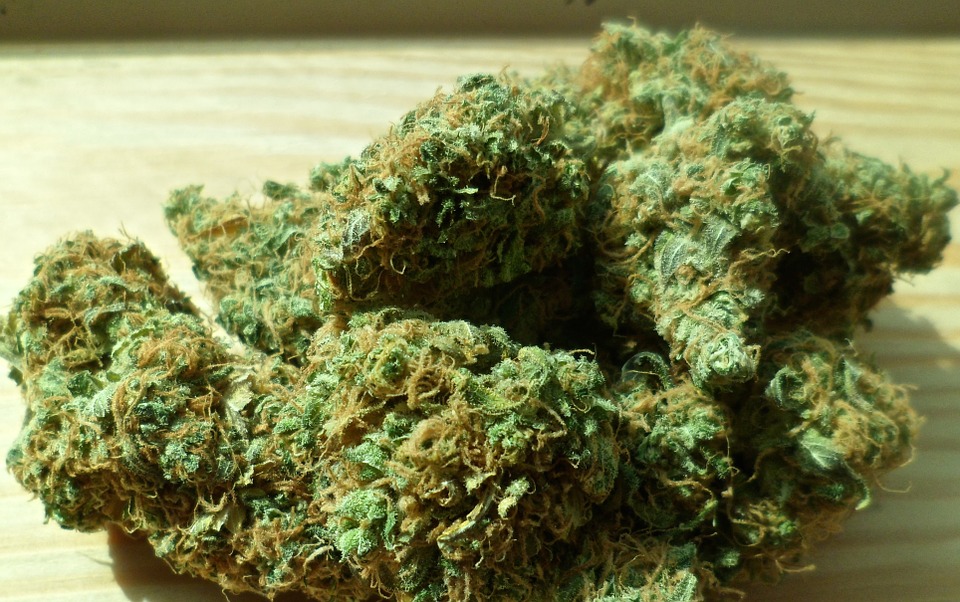 weed delivery of the greatest high quality on this website