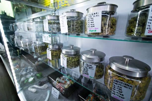Discover the Best Weed Dispensary in DC: Gifted Curators DC
