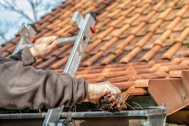 Basic things to know about gutter cleaning