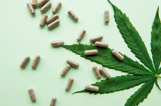 CBD Roll-On: Your Transportable Ache Reliever